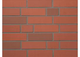 Plyta keramikinė Wienerberger JONA RF (VOLL), pilnavidurė, lygi, 250x120x65mm