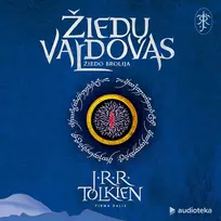 Audio Žiedų valdovas. Žiedo brolija. I dalis - J. R. R. Tolkien