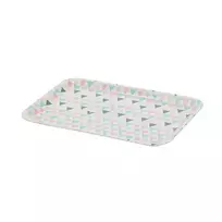 Plastikinis padėklas 32x23,2cm