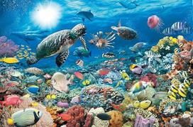 "Ravensburger Beneath the Sea" 5000 dalių dėlionė