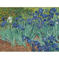 Van Gogho rainelės srautas Gėlių „pasidaryk pats“ tapyba pagal numerius Sienų paveikslas Akrilo tapyba namų dekoravimui 40x50cm no frame