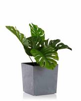 Vazonas Flore Grey Concrete, 19x19 cm
