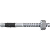 Inkarinis varžtas FAZ II Plus 12/10 ZP, 12x110 mm. FISCHER