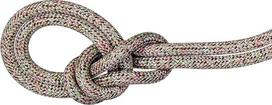 "Mammut 9.5 Crag We Care Classic Rope" | perdirbta laipiojimo virvė, įranga lauko sportui | 60 m