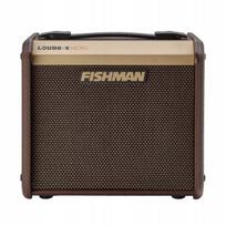 Fishman Loudbox Micro 40 - akustinės gitaros stiprintuvas