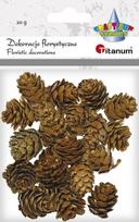 Dekoracija "Kankorėžiai" naturalūs 20g, TITANUM