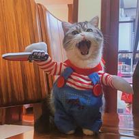 Juokingi katės drabužiai Helovino Cosplay kostiumai mažiems, vidutinio dydžio šunims, katėms Kūrybiški augintinių vakarėlių kačiukų kombinezonai Minkštas šiltas katės paltas XS（old）