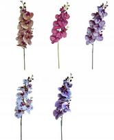 Dirbtinės orchidėjos gėlės dekoratyvinė šakelė 100 cm