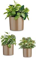 Ibergarden puodų rinkinys, 3 vnt., 14-22 cm, smėlio spalvos