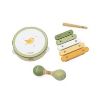 Muzikos instrumentų rinkinys vaikams VIGA PolarB su paukšteliu