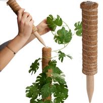 Kokoso Augalo Atrama 30 Cm Progarden