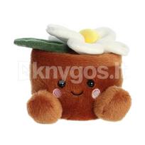 AURORA PALM PALS Pliušinė ramunėlė, 12 cm