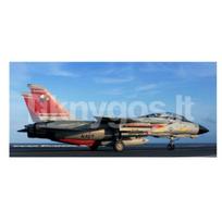 Plastikinis lėktuvo modelis F-14D Super Tomcat