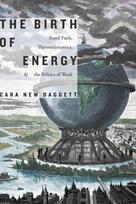 The Birth of Energy: Fossil Fuels, Thermodynamics, and the Politics of Work