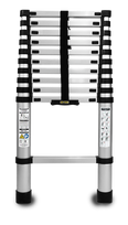 Teleskopinės kopėčios  DRABEST 1x11 3,2m