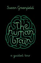 Human Brain