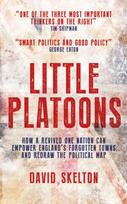 Little Platoons