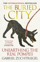 Buried City, Unearthing the Real Pompeii - the Instant Sunday Times Bestseller