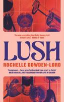 Lush, 'The one scratching that Sally Rooney itch' Stylist Best Books of 2025