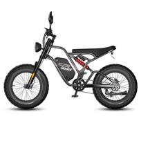 Elektrinis dviratis suaugusiems FAFREES 20  750W variklis Pilnas amortizatorius Ebike 48V 25AH Didžiausias nuotolis 140Km Apkrova 130Kg F20 Ultra Hydraulic Brakes žalia