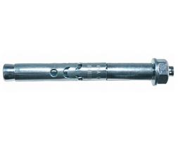 Ankeris su veržle FSA B 10/60 10x119 mm, 20 vnt