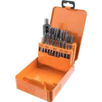Sriegiklių rinkinys M3-M12, 22 vnt