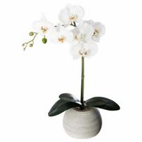 Dirbtinė orchidėja keramikiniame vazone, 50 cm