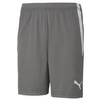 Puma Team Liga šortai - pilki/balti - XL