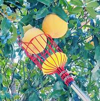 Fruit Picker Tool Fruit Picker Harvester Basket with Cushion Garden Fresh Fruit Picker Garden Fruit Picking Device Garden Tools raudona