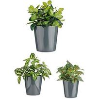 Keraminių vazonų rinkinys DKD Home Decor, 14-17-22 cm, margas, 3 vnt.