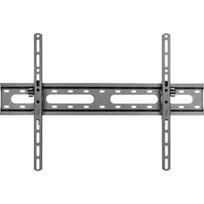 TV laikiklis Adjustable stand - SLIM - for TV 37 - 70 - Stell - SHO 4420