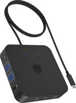 „Raidsonic ICY BOX IB-DK4090-C“ 12 viename USB C tipo