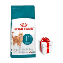 ROYAL CANIN Ageing Senior 11+ 4 kg sauso kačių ėdalo brandžioms vyresnėms nei 11 metų katėms + Staigmena katei