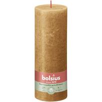 Žvakė, cilindrinė Bolsius Rustic,, 19/6.8 cm, ruda