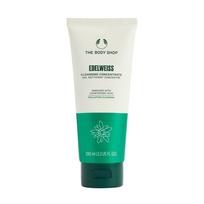 THE BODY SHOP EDELWEISS CLEANSING CONCENTRATE veido prausiklis, 100 ml