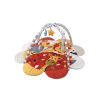 BabyTrold - Happy Space Play Gym - Flower (JL639-2B)