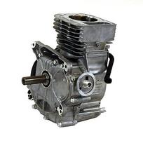 Trumpas variklio blokas Briggs & Stratton 33 modelio
