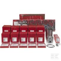 Variklio komplektas (remontas rėme) 6 cilindrų modelis 6359D VPB9189