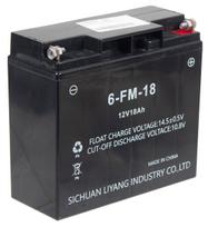 Akumuliatorius Loncin LCD186F / 1WG7.5-146FC-Z ORIGINALI DALIS