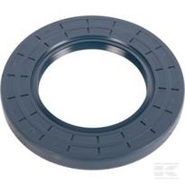 Sandariklis BAUM5SL 60x100x10 72NBR 025270N