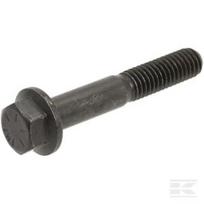 Savaiminio fiksavimo varžtas R504813