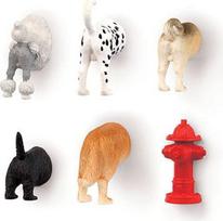 Kikkerland Dog Butt Magnets 6 Per Set