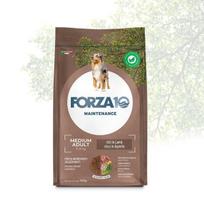 Forza10 Medium Adult Maintenance vidutinių veislių šunims su ėriena ir ryžiais, 12 kg