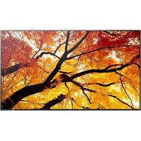 Sharp MultiSync M322, 32" 60006052