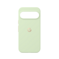 Google Pixel 10 / 10 Pro dėklas