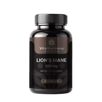 Lion’s Mane 500 mg Maisto papildas 90 kapsulių