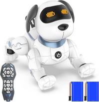 Radijo bangomis valdomas šuo robotas