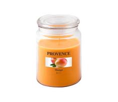 Kvapnioji žvakė MANGO 510 g 85–95 val.