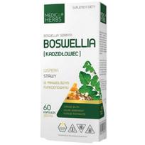 Medica Herbs Boswellia – 60 kapsulių