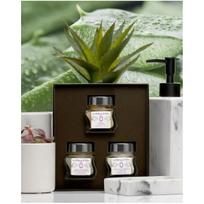 La Sultane de Saba Aloe Vera Facial care kit veido priežiūros rinkinys: kremas, šveitiklis, kaukė